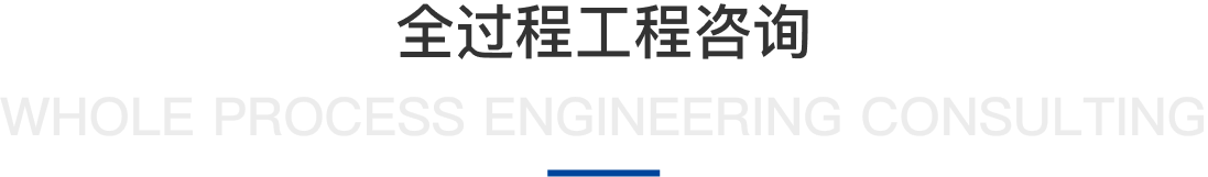 全過(guò)程工程咨詢(xún)